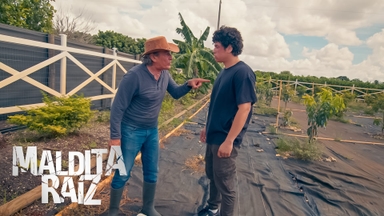 miniatura-T1 E4: Reconciliación miniatura-video